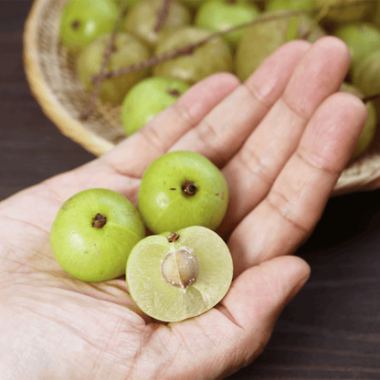 Bio Superfood Amla Pulver