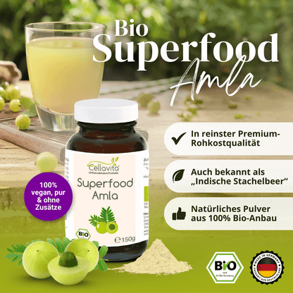 Bio Superfood Amla Pulver