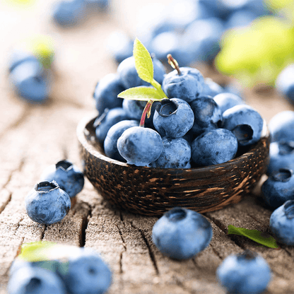 Bio Superfood Heidelbeere Pulver