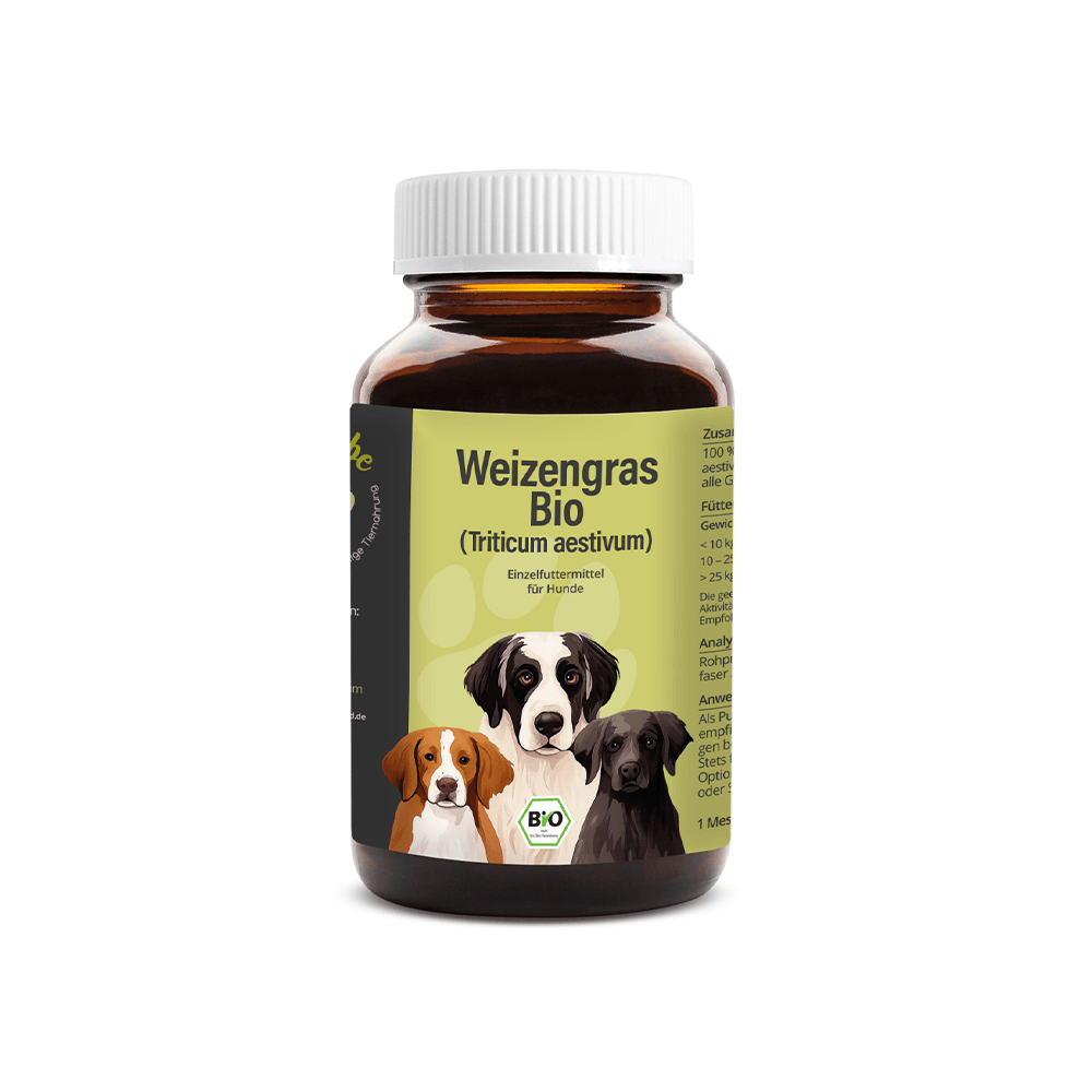 Bio Weizengras Pulver für Hunde