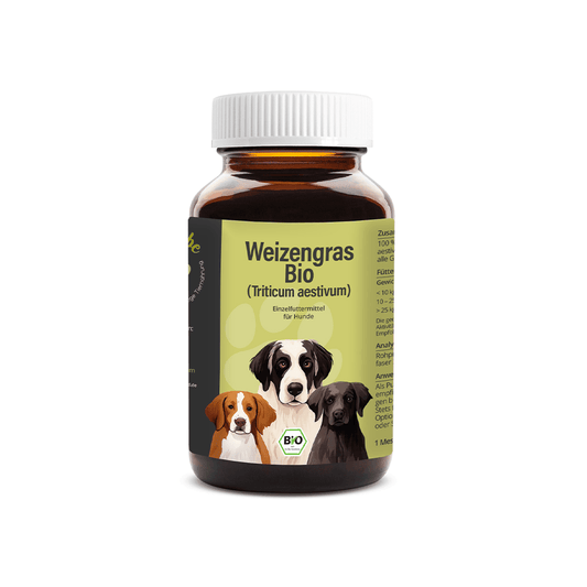 Bio Weizengras Pulver für Hunde