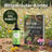 Bitterkräuter-Kombi mit Buch und Tropfen