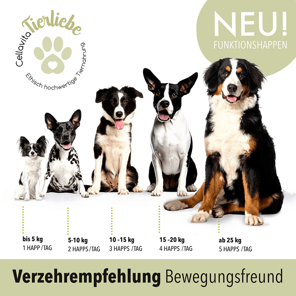 Bewegungsfreund Leckerlis für Hunde
