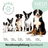 Darmfreund Leckerlis für Hunde
