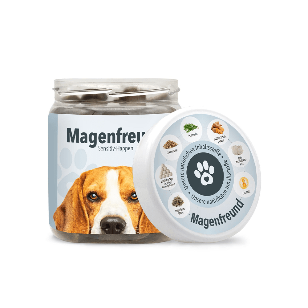 Magenfreund Leckerlis für Hunde
