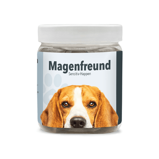 Magenfreund Leckerlis für Hunde