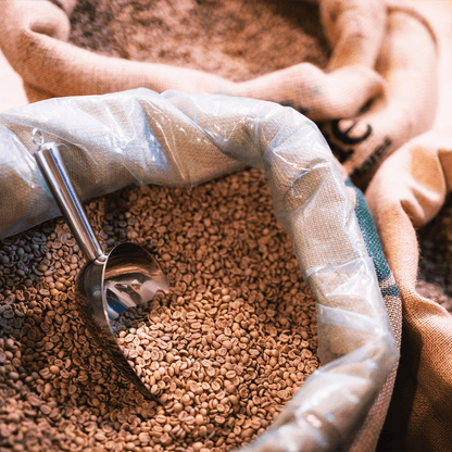 Bio Arabica Röstkaffee „Der Karibische“