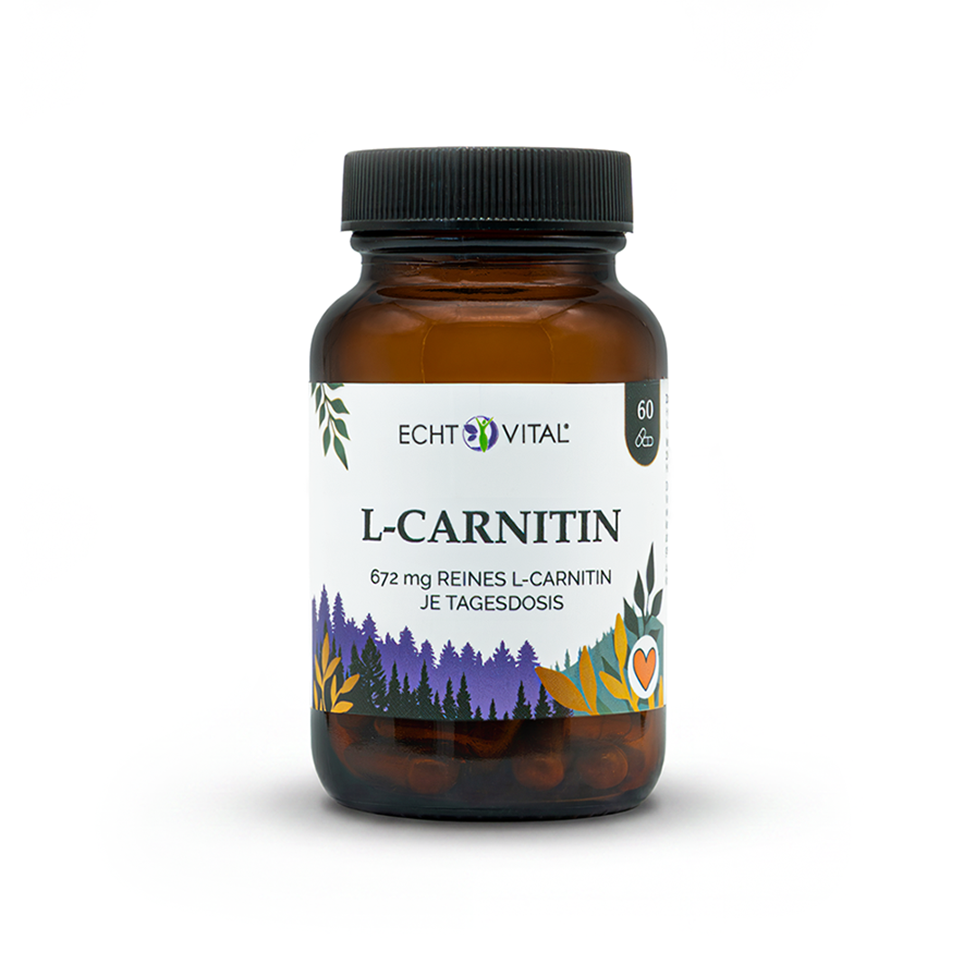 L-Carnitin Kapseln aus pflanzlicher Fermentation