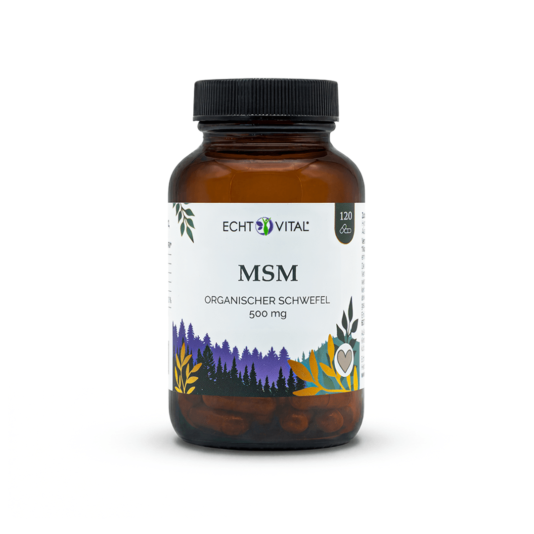 MSM Kapseln