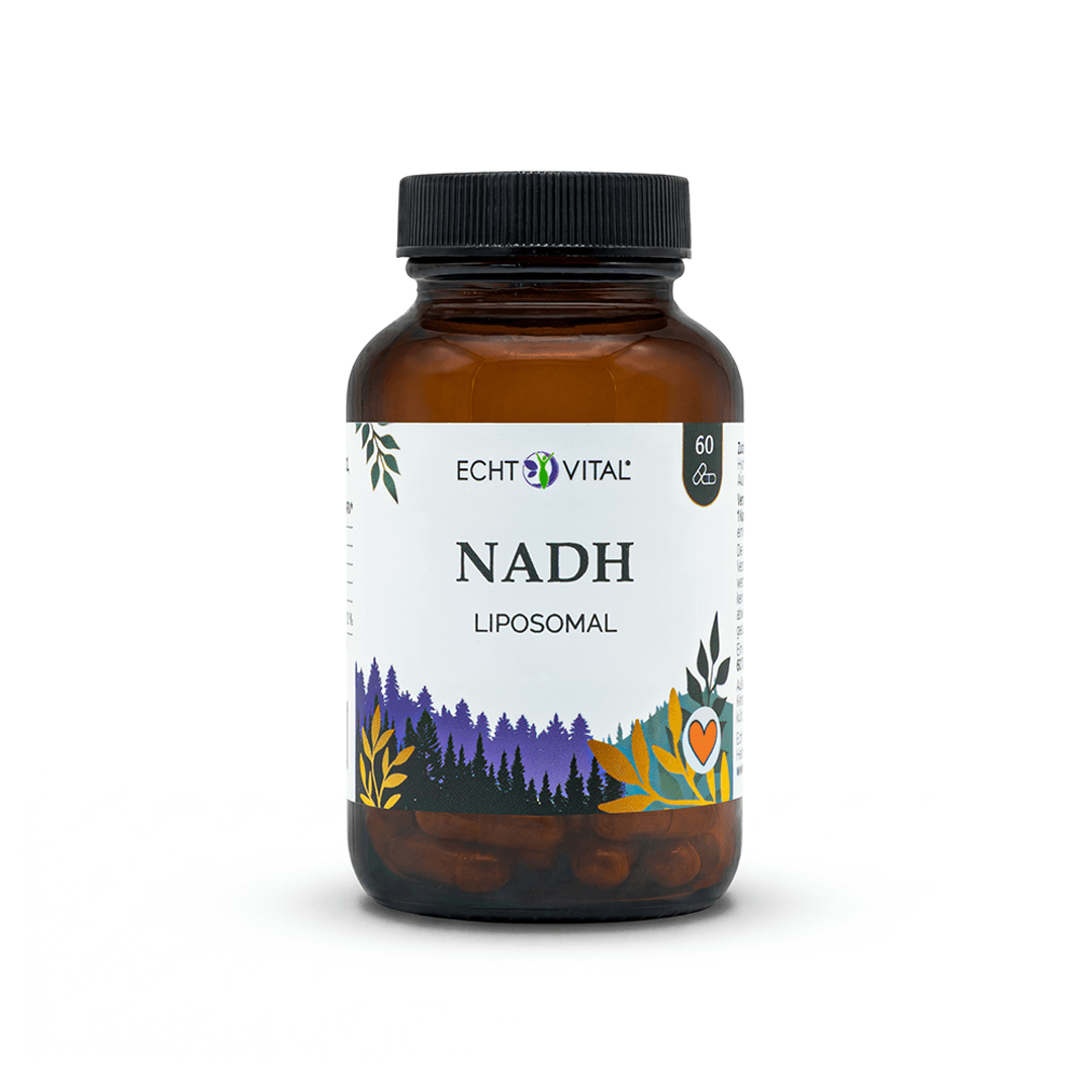 NADH Liposomal Kapseln