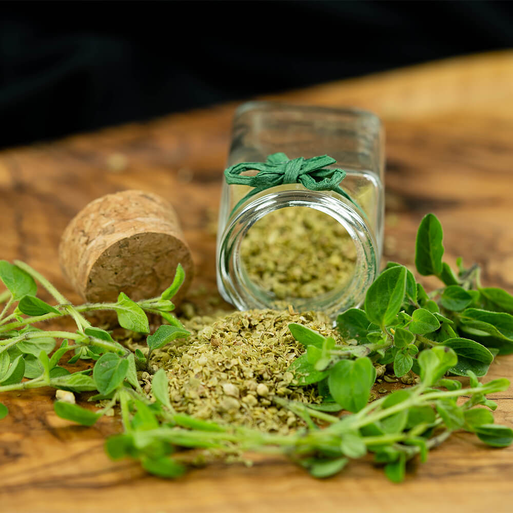 Griechischer Oregano