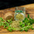 Griechischer Oregano