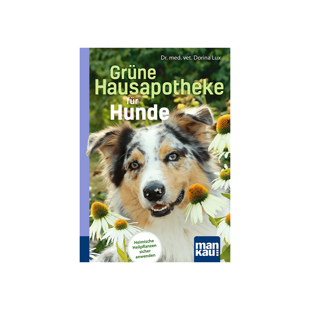 Grüne Hausapotheke für Hunde