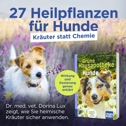 Grüne Hausapotheke für Hunde