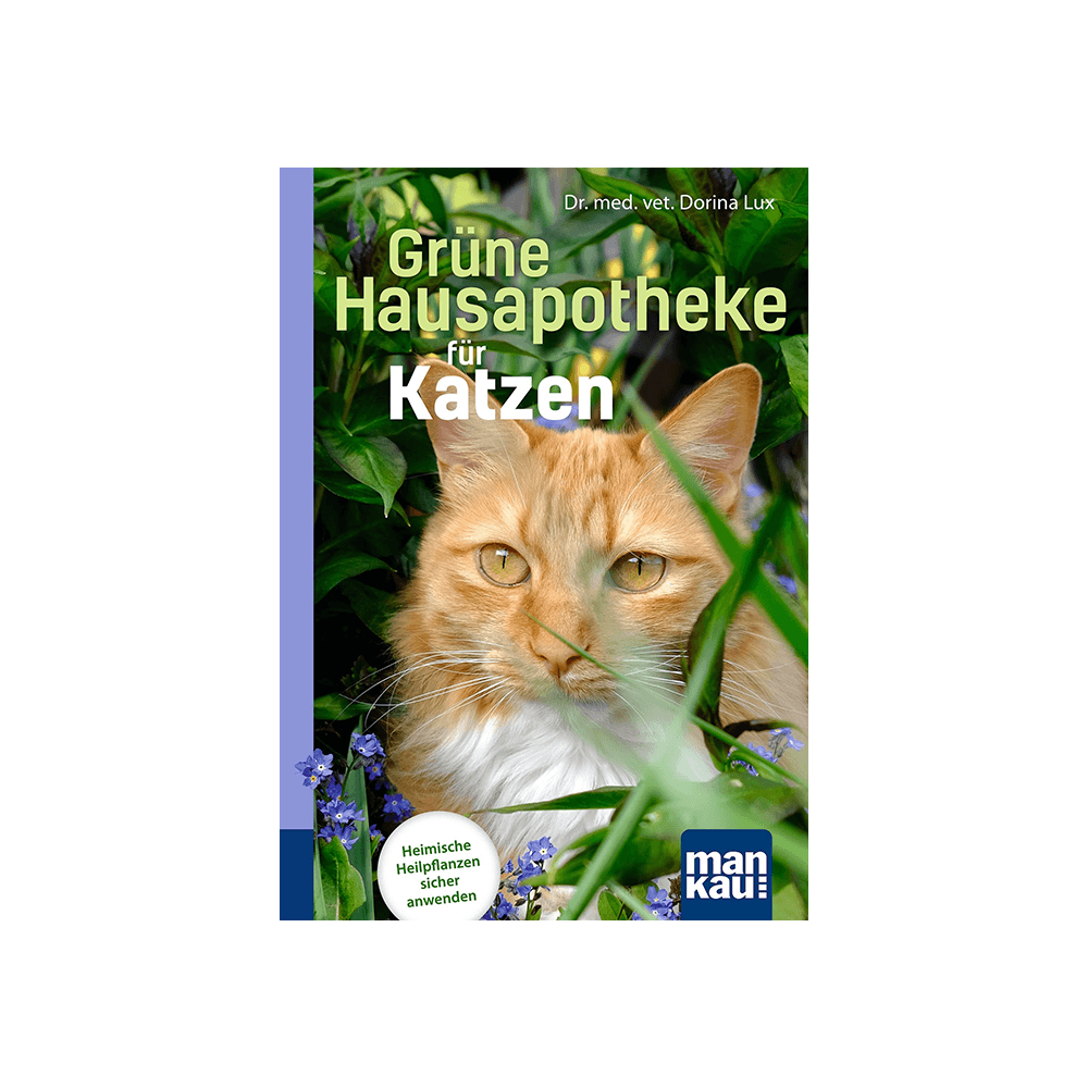 Grüne Hausapotheke für Katzen