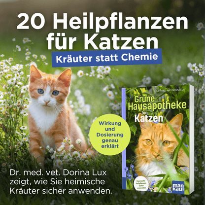 Grüne Hausapotheke für Katzen