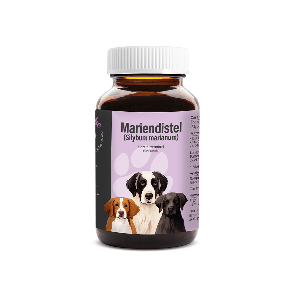 Mariendistel Pulver für Hunde