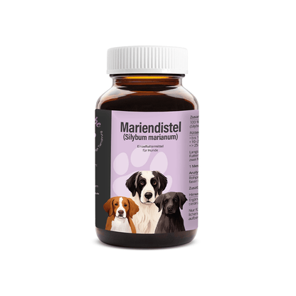 Mariendistel Pulver für Hunde
