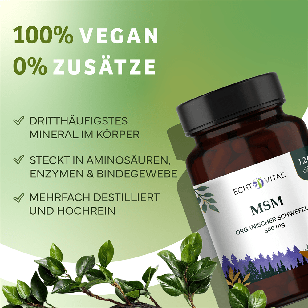 MSM Kapseln