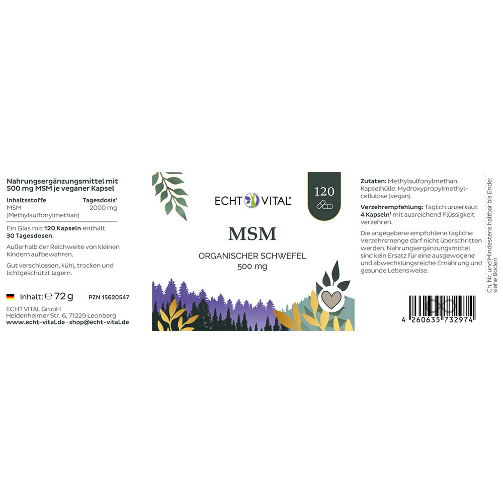 MSM Kapseln