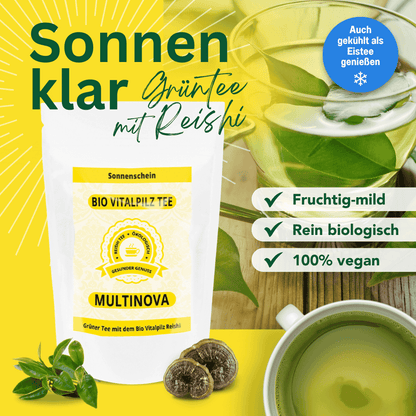 Bio Reishi Grüner Tee „Sonnenschein“