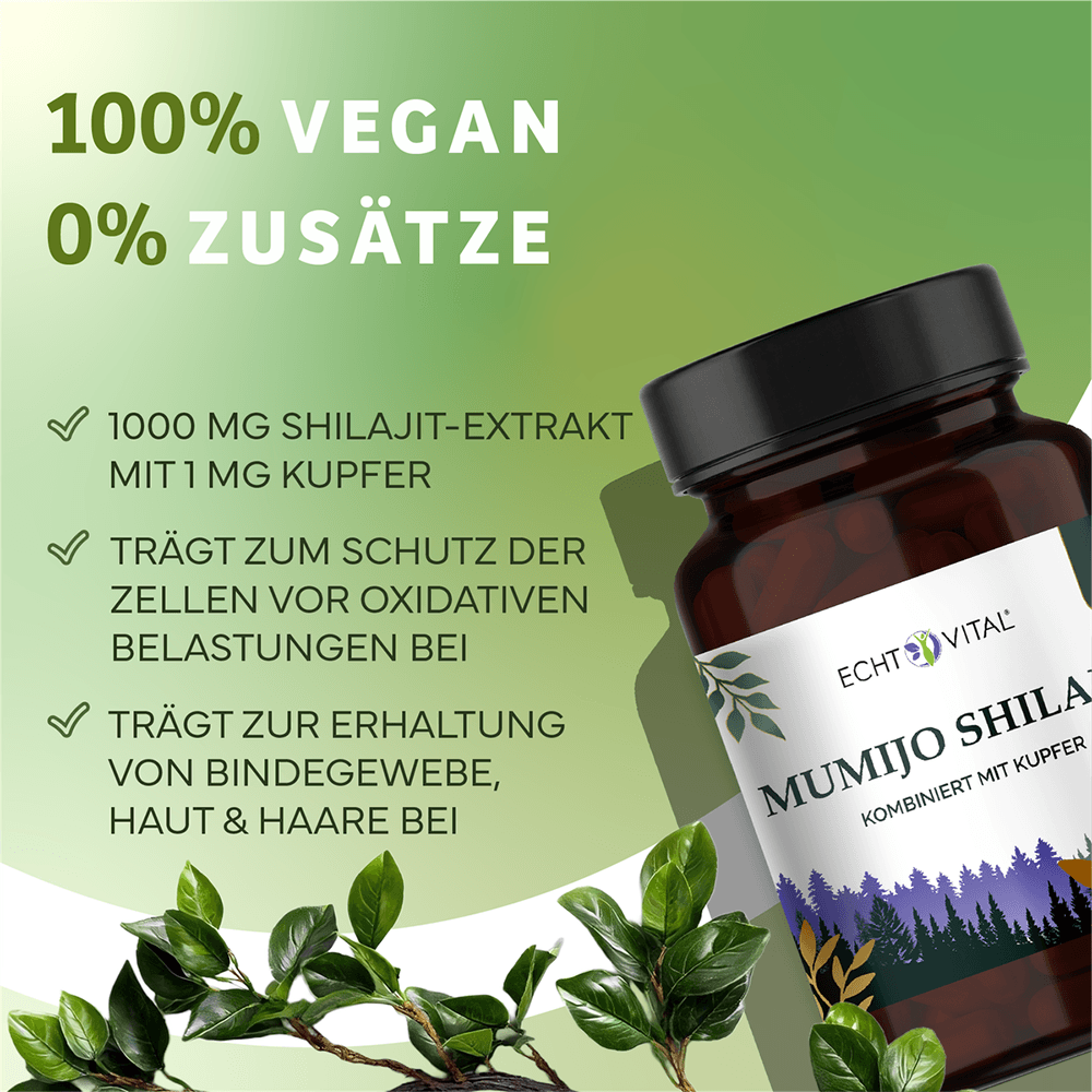 Mumijo Shilajit Kapseln