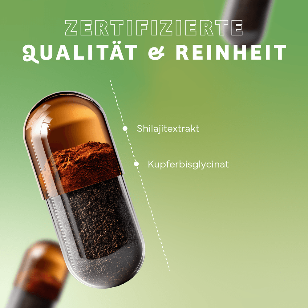 Mumijo Shilajit Kapseln