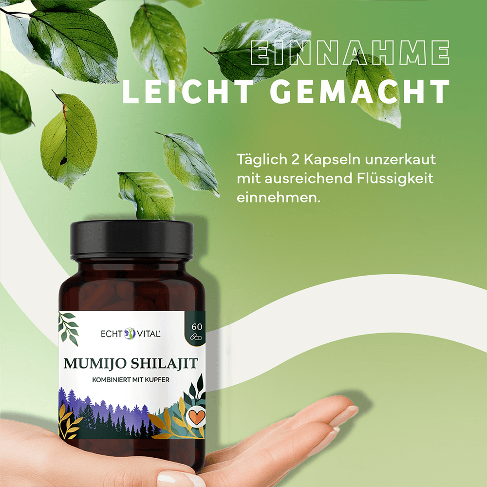 Mumijo Shilajit Kapseln