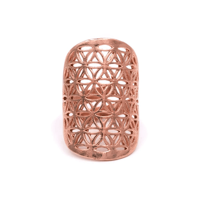 Ring Blume des Lebens Messing