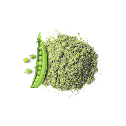 Bio Erbsenprotein